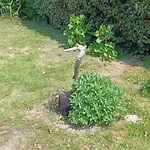 Joret 3* Fermanville