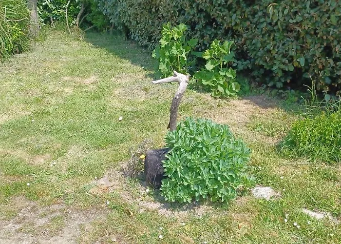 Joret 3* Fermanville